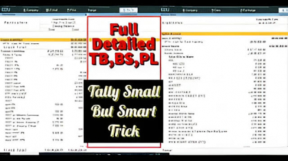 FULL DETAILED BALANCE SHEET, TRIAL BALANCE, PROFIT AND LOSS