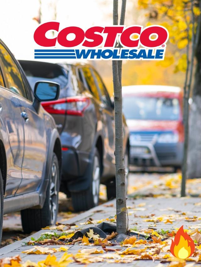 16 Costco Locations with the Worst Parking