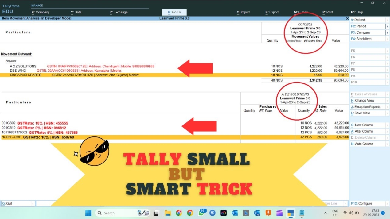 2024 new gst details in movement analysis tally prime tdl gst
