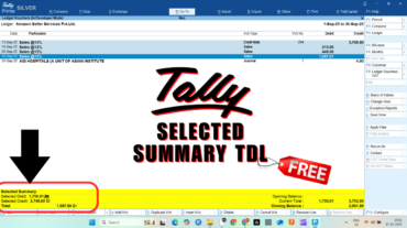 Selected Summary TallyPrime TDL