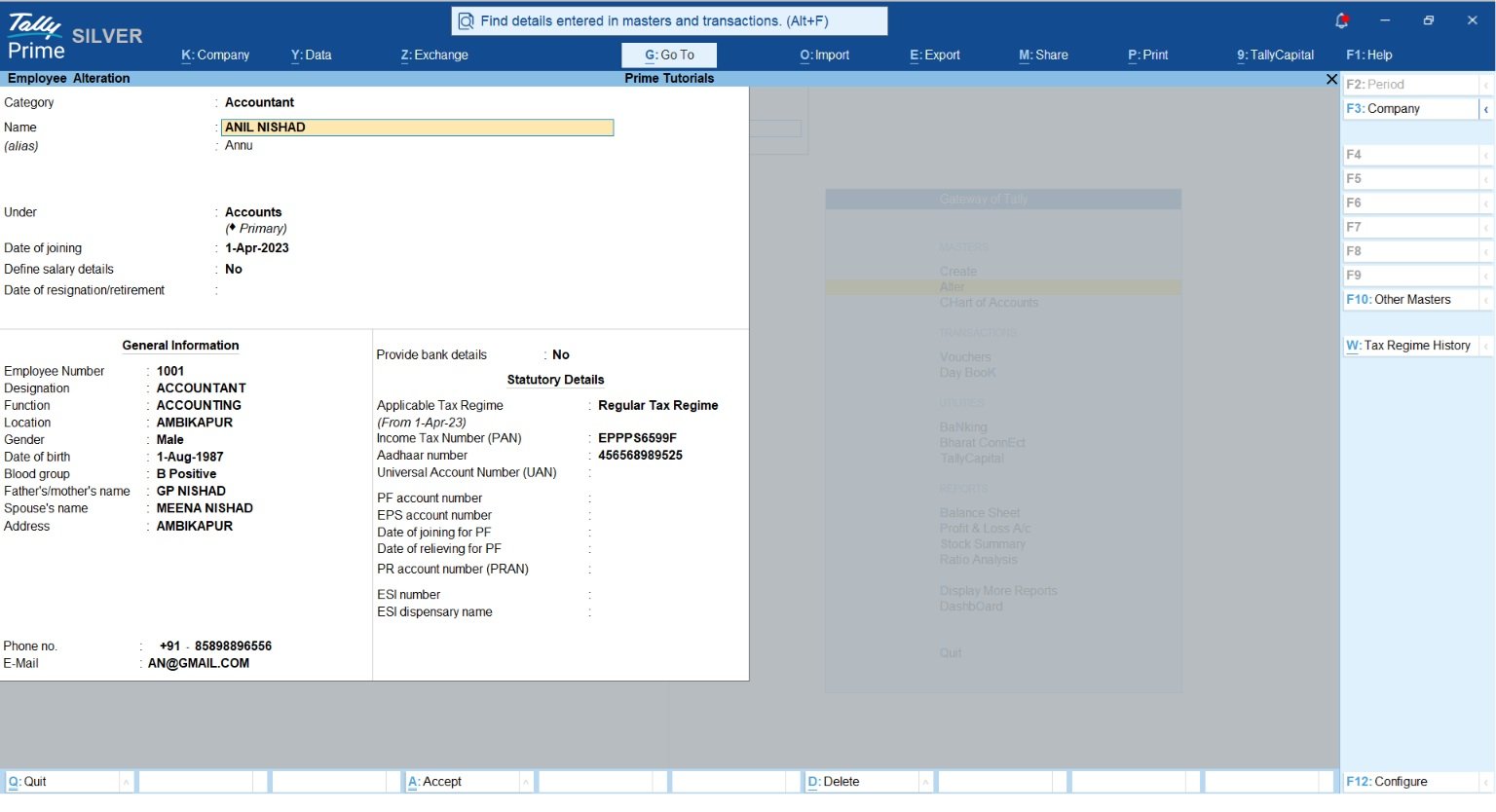 Does Your Business Need HR Software Alongside TallyPrime?